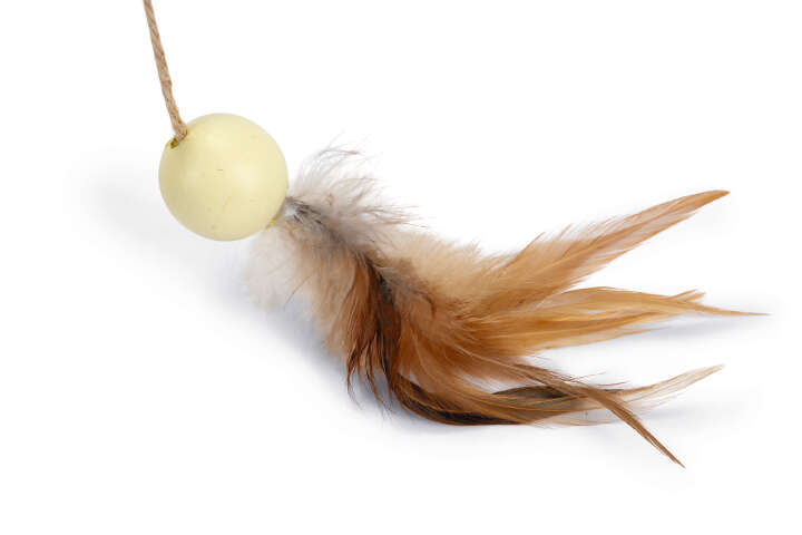 Designed by Lotte Holz-Kratzball Wiggly